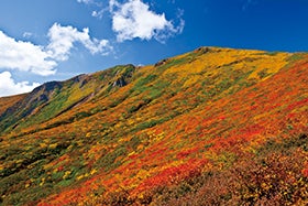 大曲花火-秋の章-「花火芸術祭」と東北の名峰栗駒山2