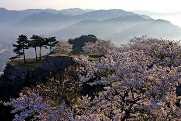 【岡山・倉敷発】 春色の天空の城「竹田城跡」とかみかわ桜の山 桜華園　但馬牛ランチ日帰り1