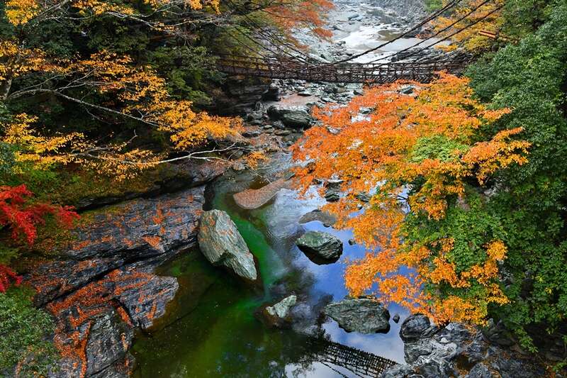 【兵庫エリア発】 紅葉の祖谷・大歩危峡・小豆島寒霞渓ロープウェイと約250万球レオマ光ワールド２日間1