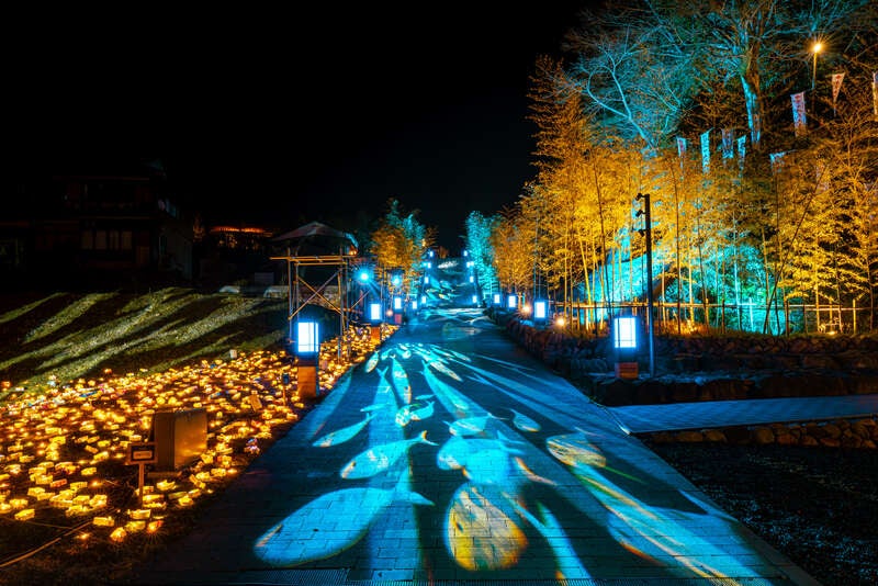 【福岡ルート発】 温泉街をつつむ光のエリア「音信川うたあかり」と長門湯本温泉ふぐ刺し30枚会席2日間3