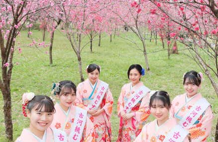 【横浜発】春の眼福、満喫旅！日本一の花桃の里「古河桃まつり」散策＆いちご狩り食べ比べ食べ放題＆佐野プレミアムアウトレットでお買い物！春を満喫バスツアー