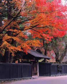 【大崎・石巻・県北エリア発】 旅のすごろく市11月　紅葉の名所！みちのくの小京都・角館と抱返り渓谷（日帰り）