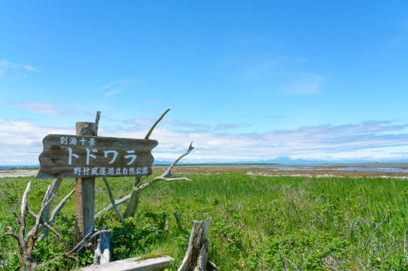 【関西空港発着】許可車両しか入れない！タウシュベツ橋梁散策と野付半島トドワラ・根室半島チャシ跡群4日間2