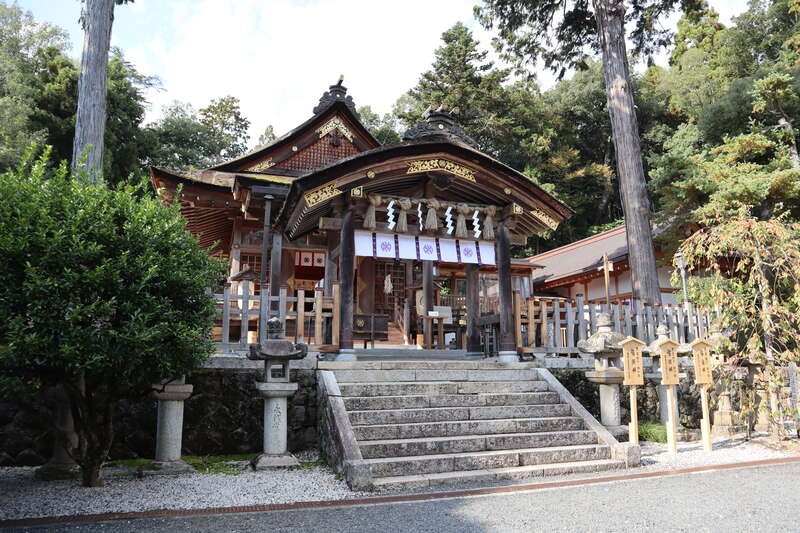 【丹海バス本社・西舞鶴駅・綾部駅・福知山駅発】日本海鳥取！2.5杯使用！かにづくし料理　日帰り2