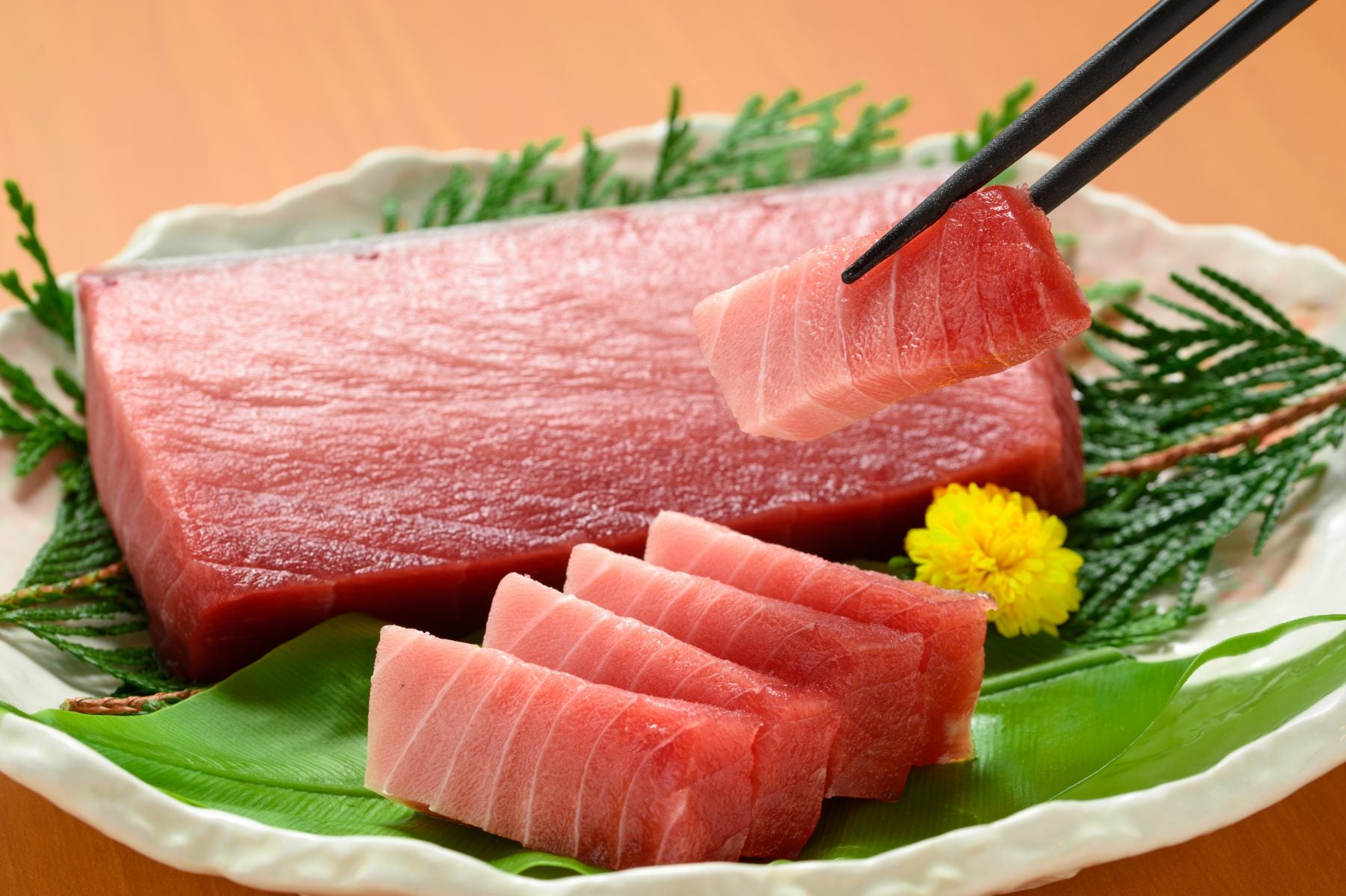 まぐろのまち串木野のとろける『特選まぐろ刺し御膳』とゆったり肥薩おれんじ鉄道🐟3