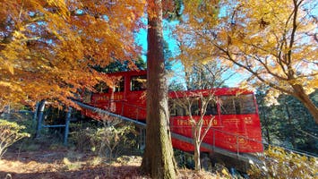 【川棚バス停（豊浦支所側）発】山口西部読売会愛読者謝恩旅行　英彦山スロープカーde秋色空中散歩と旧藏内邸・メタセの社 日帰り