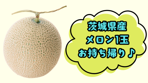 ＜Web割対象商品＞【キングツアーバス旅】一度は見たい！見渡す限りのネモフィラブルー　ひたち海浜公園ネモフィラ〔吉祥寺・新宿発〕3