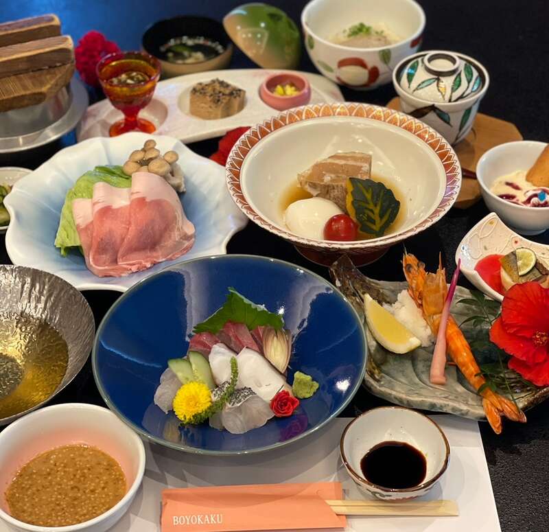 【出雲市駅・松江駅・安来駅・米子駅発】 旅はじめ！天草で懇親新年会とイルカウォッチング2日間1