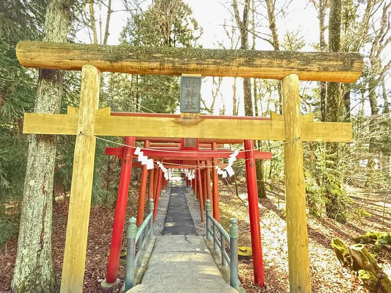【神奈川県内・町田発】 山梨さくらんぼ狩り食べ放題 日本三大金運神社「新屋山神社」と富士の絶景ポイント「ふじさんデッキ」　日帰り2