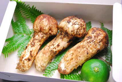 【JR福山駅発】秋のトリプルスリー!紅葉と実りの秋in丹波 日帰り