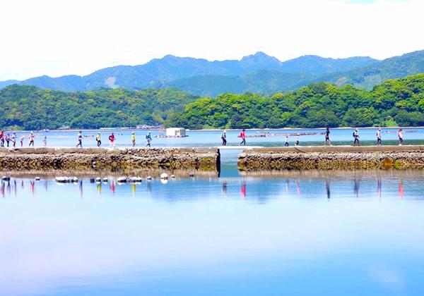 [北九州発] 九州オルレ大入島ウォーキングフェスティバル＆食肉祭2026 in さいき大入島1