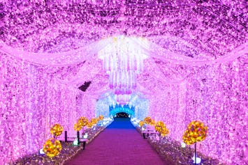 【新大阪駅・京都駅・米原駅・名古屋駅発】 祝30周年！幻想的に輝く時之栖イルミネーション＆グルメバイキングと冠雪の富士山眺望クルーズ2日間