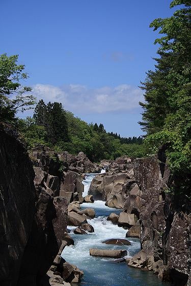 【宮城県内発】 伊豆沼に咲く蓮の花“極楽浄土の風景”遊覧クルーズと鮮やかなアンブレラスカイ＆地ビールランチ（日帰り）2