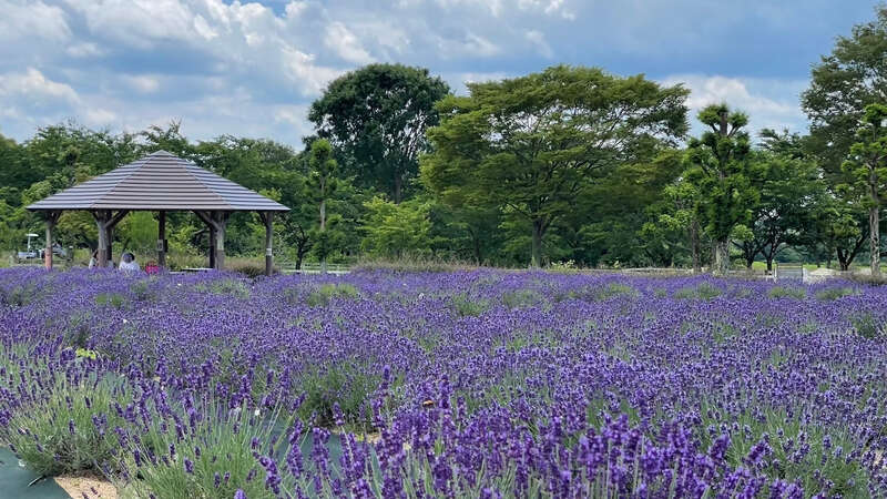 【兵庫県内発】 ウ･キ･ウ･キ　ミステリーツアー日帰り3