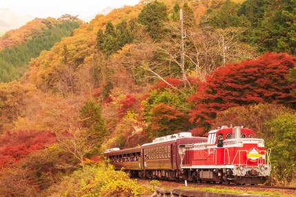 【新宿発】トロッコで紅葉!<席数限定>「わたらせ渓谷鐡道」トロッコ列車で秋満喫!!紅葉の名所「高津戸峡」&「草木湖」を巡る♪ トロッコ名物弁当付き!!日帰りバスツアー