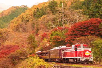 【新宿発】トロッコで紅葉！＜席数限定＞「わたらせ渓谷鐡道」トロッコ列車で秋満喫！！紅葉の名所「高津戸峡」＆「草木湖」を巡る♪　トロッコ名物弁当付き！！日帰りバスツアー