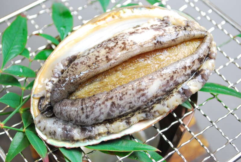 【岡山・倉敷発】 丹波 旅の大総力祭♪１０（てん）こもりのお持ち帰り　日帰り3