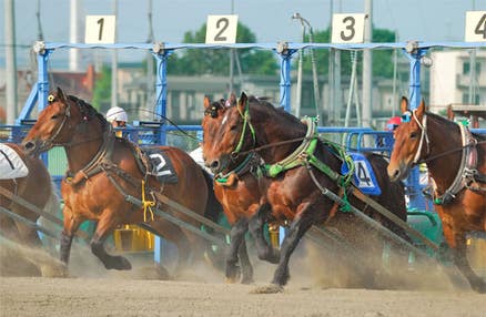 【札幌市内発】道の駅おとふけ なつぞらのふる里＆十勝ばんえい競馬を楽しむ☆夏から秋の十勝の魅力満喫♪日帰りバスツアー