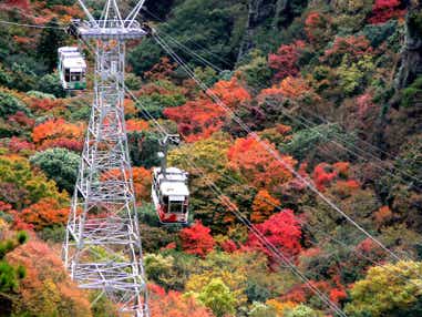 【新大阪駅・新神戸駅発】 寒霞渓・石鎚山・松山城　３つのロープウェイで満喫する！秋の瀬戸内大周遊３日間