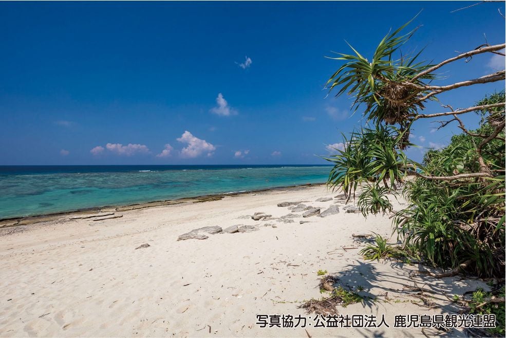 ＜鹿児島＞スカイマークで行く　自然・伝統・食に触れる奄美大島 2日間【神戸空港出発】2