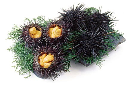 【おひとり様参加限定】盛岡市内のホテルにらくらく2連泊 弘前城・角館 春色のみちのくをじっくりめぐる3日間