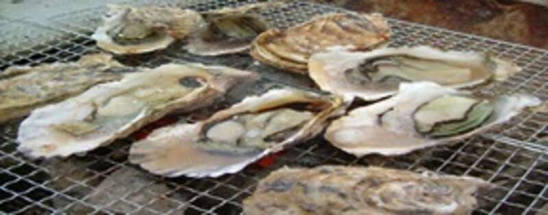 【山形県内発】 5つ星の宿「ホテル松島大観荘」で食す！60種ランチバイキング＆ 日本三景「松島」グルメ食べ歩きと 仙台冬の風物詩「SENDAI光のページェント」（日帰り）2
