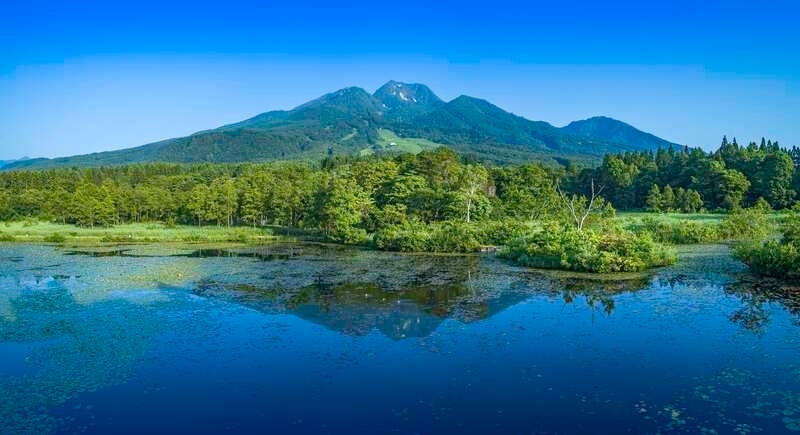 【石川県内発】 信州さくらんぼ狩りと妙高いもり池散策20263