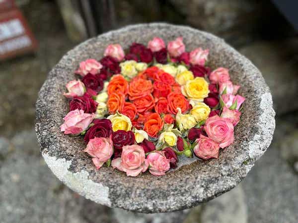 【京滋エリア発】 標高８００M!天空の聖地　秋の高野山と世界遺産花手水の丹生都比売神社　日帰り3