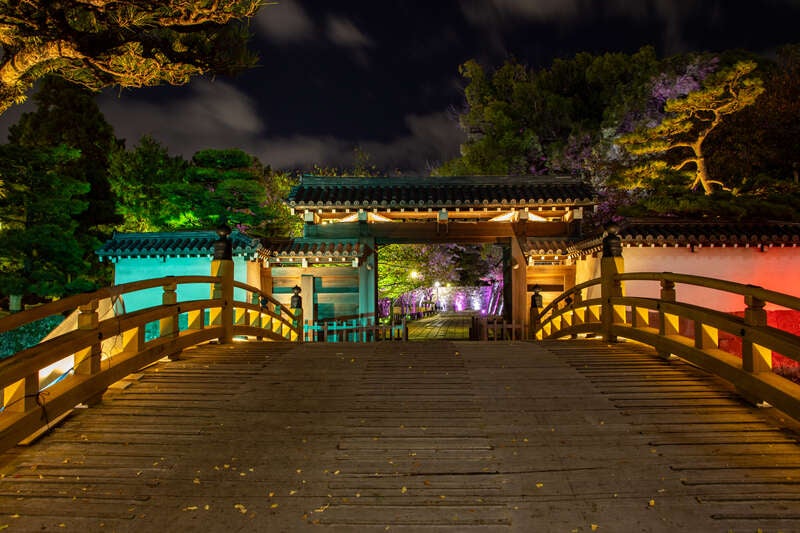 【阪神エリア発】 冬の６つの高級食材を食す！グルメ満喫＆和歌山城公園～光の回廊～ライトアップ　日帰り2