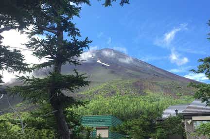 【群馬県内発】 雲上の富士山五合目とシャインマスカット狩り食べ放題 日帰り