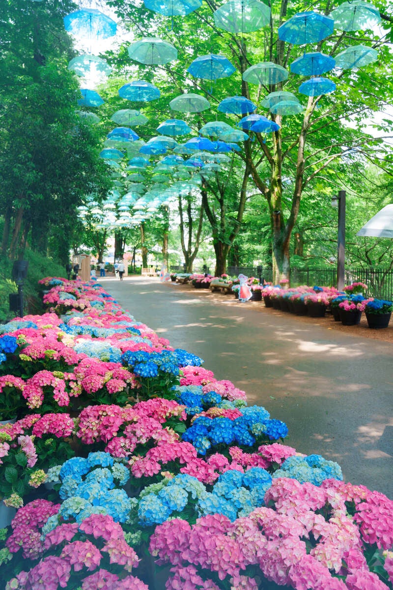 【群馬県内発】 ムーミンバレーパーク・アンブレラスカイ＆野菜がおいしいビュッフェ らんざんラベンダーまつり2026　 日帰り2