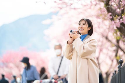 【栃木県内発】 ときめく春が来た！桜舞う！春爛漫ミステリーツアー　日帰り