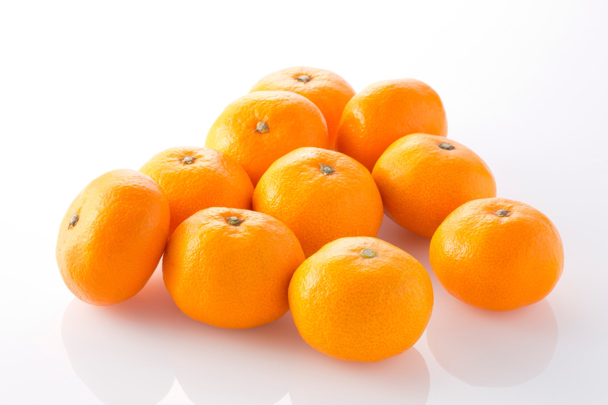 『実りの秋を満喫！和歌山みかん狩り食べ放題と富有柿狩り体験』【三国ヶ丘・堺東・南海堺　出発】1
