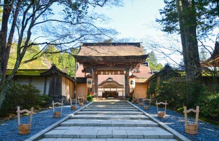 【梅田発】心癒される高野山＆奥之院参拝♪柿の里くどやまでお買い物