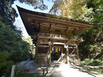 名古屋発■２０２６年１０月１２日（祝）■〔中級〕槇尾山から和泉葛城山へ　日帰り　♪名鉄の日帰りトレッキング1