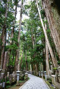 【小倉・門司・新門司港発】 往復フェリー利用　高野山・青葉まつりと奥之院めぐり３日間