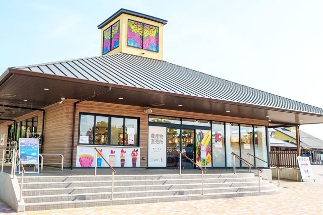 【東京発】＜全日程7980円入園料込み席数限定！！＞秋の「ひたち海浜公園」もこもこ丘一面に広がるコキア＆日本三大イルミネーション「あしかがフラワーパーク」光と花のコラボで幻想の世界へ♪　日帰りバスツアー2