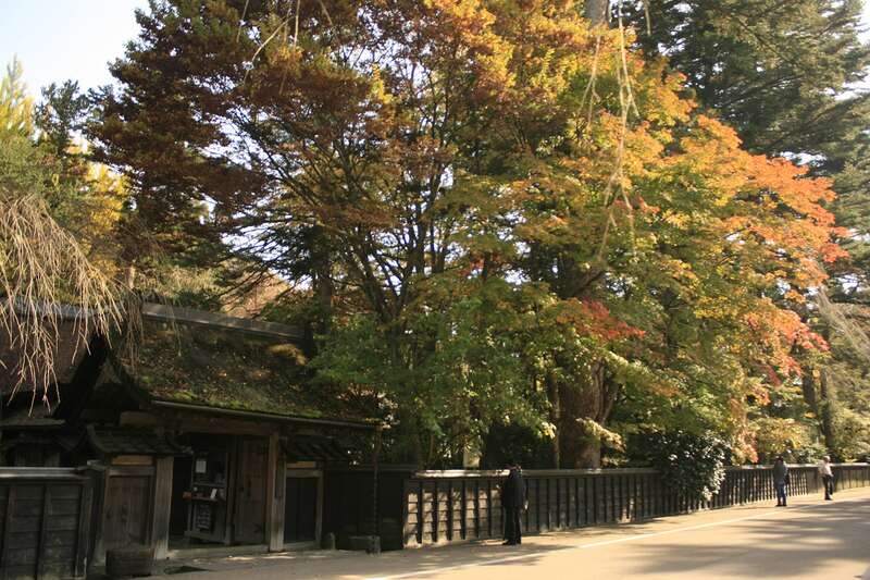 【新青森駅発】 みちのくの小京都角館散策と秘湯乳頭温泉郷　日帰り1