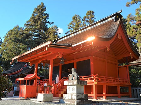 中部発 日帰り 贅沢三昧！松茸・近江牛づくし！秋の味覚お土産5種持ち帰りと食べ歩き！＜JAMJAM TOUR＞2