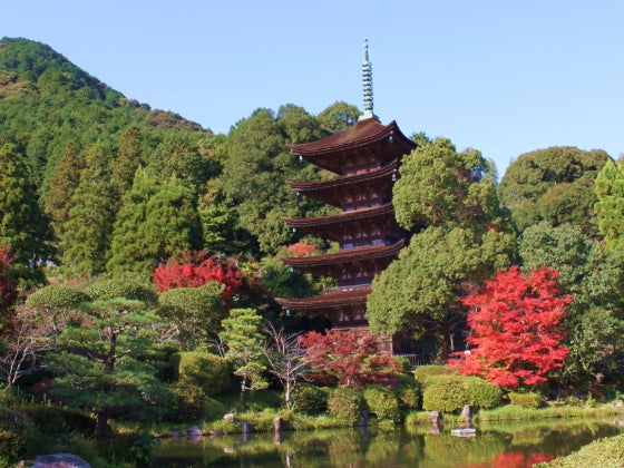 【日帰り／博多発着／添乗員同行】 ＜2026年7～8月出発！＞ タイムスリップ！蒸気機関車”SLやまぐち号”全区間乗車 山陰の小京都 美しき津和野と国宝 瑠璃光寺五重塔2