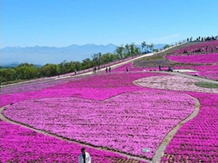 中部発　日帰り　春いっぱいココロ踊る♪新鮮野菜の食べ放題＆詰め放題！茶臼山高原芝桜と天竜峡そらさんぽ！2