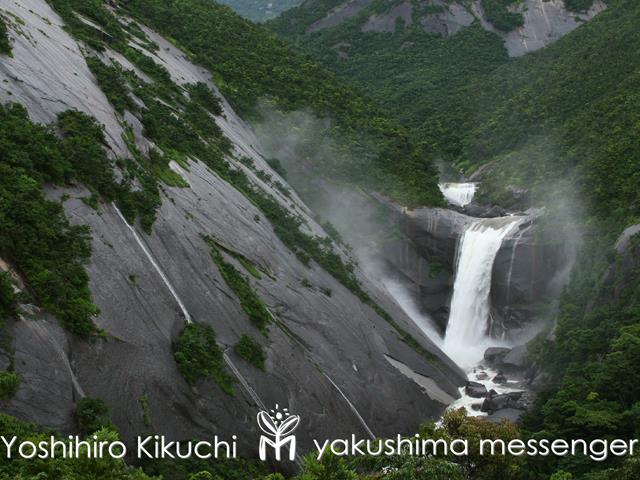 ■往復航空機利用！屋久島をぐるっと1周観光バス≪やくざる号Aコース(ランチ)付≫お好きなお宿をお選びいただけます　4泊5日2