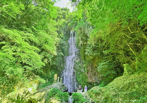 【3列バスの旅】シャインマスカット♪ 梨♪ ぶどう♪ 3つのくだもの食べ放題と名水の涼瀑と佐賀牛つゆしゃぶランチ2