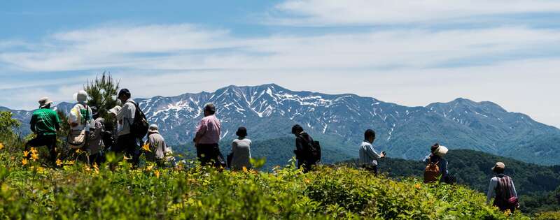 【和歌山市内ルート発】 年に一度、天空の花園が開扉！『白山高山植物園』と雲上の白山ホワイトロード２日間2