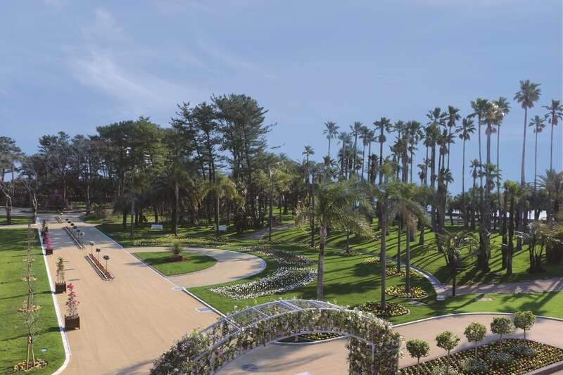 【栃木県内発】 日本で唯一の群生地へ！初夏を彩る世界三大花木「ジャカランダ」とミヤマキリシマ咲く！彩りの南九州３日間3