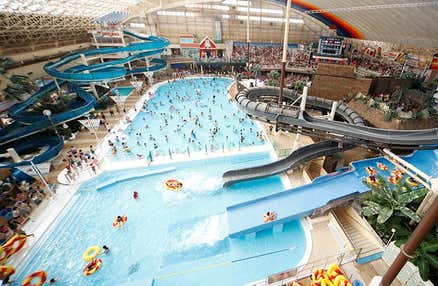 【早割30】[新宿発]常夏リゾートへGO！スパリゾートハワイアンズで最大6時間滞在のとっておきの休日を満喫♪日帰りバスツアー！