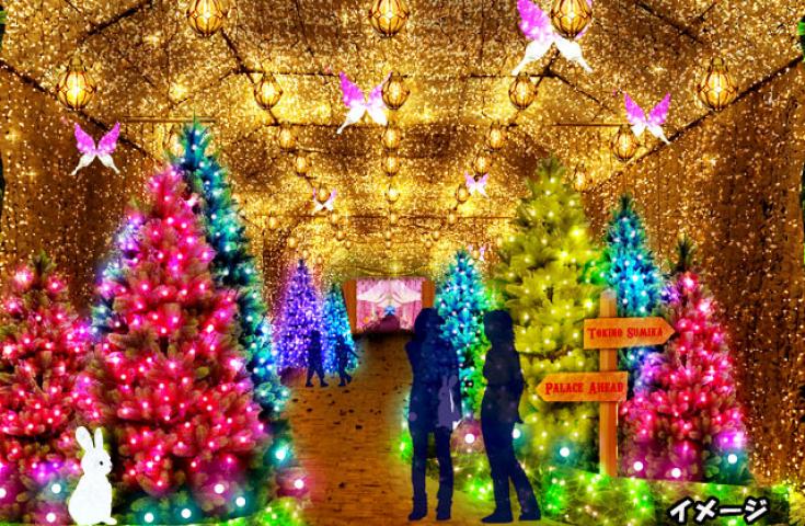 【新宿発】550万球の光が織りなす「時之栖イルミネーション」！！　いちご狩り食べ放題＆昼食弁当付き！話題のグルメスポット熱海で食べ歩きも満喫♪　日帰りバスツアー3