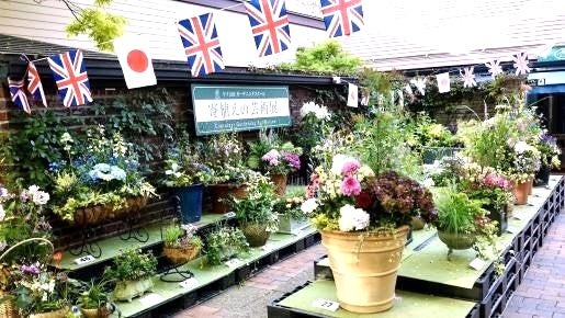 ＜Web割対象商品＞【キングツアーバス旅】本格英国庭園で過ごす一日　蓼科高原バラクライングリッシュガーデン英国園芸の祭典「35th蓼科バラクラフラワーショー」〔新宿・明大前発〕3