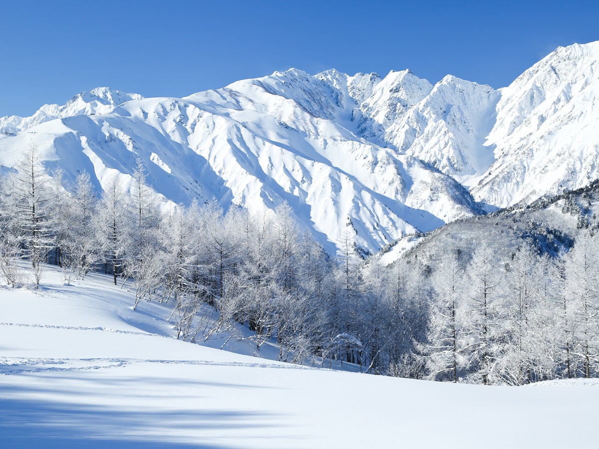 【長野駅】朝出発 バスで行く 白馬岩岳スノーフィールドリフト券付日帰りパック3