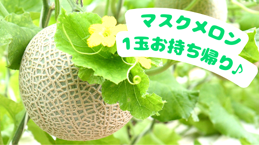 ＜Web割対象商品＞【キングツアーバス旅】【8月】どっさどっさ㏌フルーツ王国山梨・富士山五合目～マスクメロン1玉＆シャインマスカット1房お持ち帰り～〔新百合ヶ丘・聖蹟桜ヶ丘発〕1